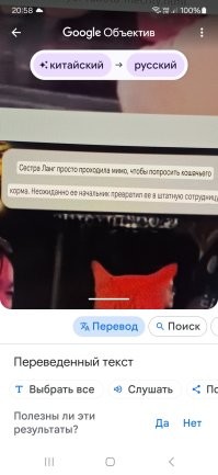 Котяра нашёл работу мечты