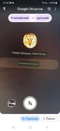 Котяра нашёл работу мечты