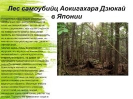 Ну, а потом прямая дорога в лесок.
