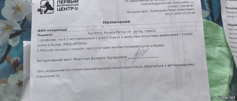 Тоже подобрал 29 июня кошачье недоразумение, только немного постарше. Если более суток нет стула нужно давать слабительное.