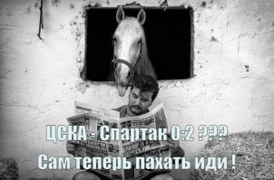 17 талантливых фотографов, которые смогли поймать редкие моменты