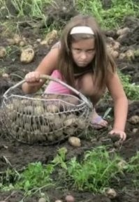 Добрые? Тогда ладно. 

А картошка переживёт апокалипсис?