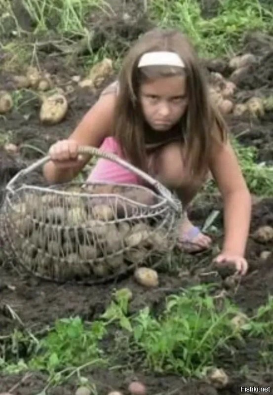 Добрые? Тогда ладно. 

А картошка переживёт апокалипсис?