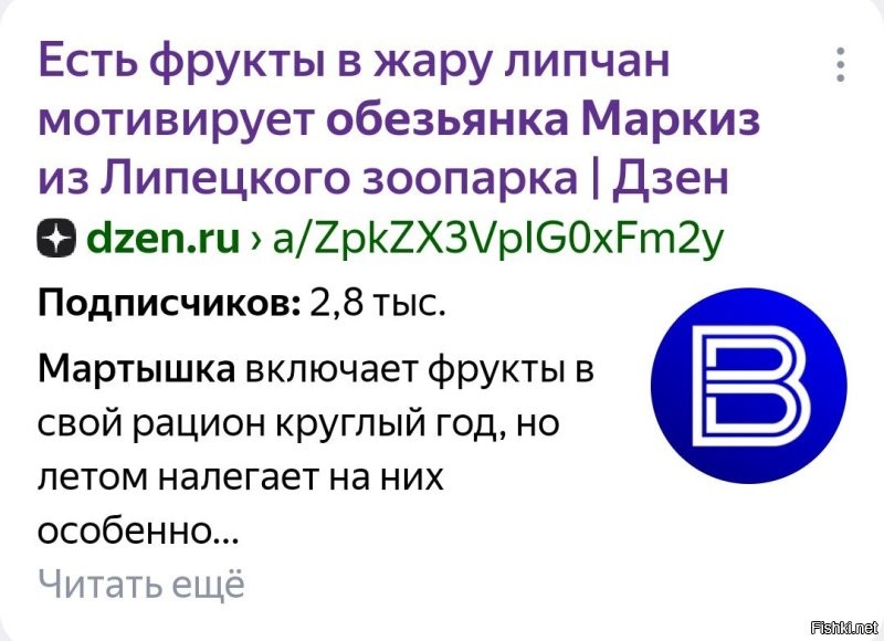 "Он назвал меня обезьяной!": афроамериканца шокировала надпись в чеке придорожного кафе