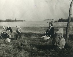 За грибами. Сентябрь 1954г.