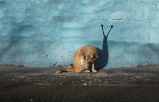 Конечно, конечно, очень редкий момент! Настолько реальный, что аж "мурашки по коже"... Жуть какая-то! Или "дичь"...