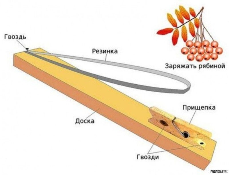 только косточки от вишни были