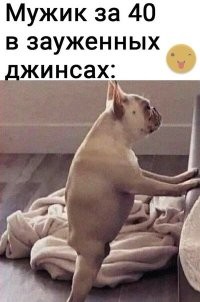 Как выглядит покупка джинсов в 2024 году