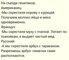 Косаткодельфин и нарлуга:  самые странные гибриды китов