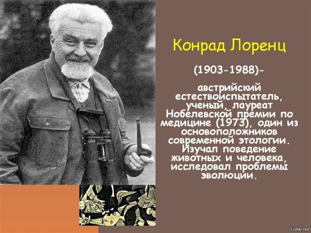 "Недостающее звено между обезьяной и разумным человеком -- это мы с вами".