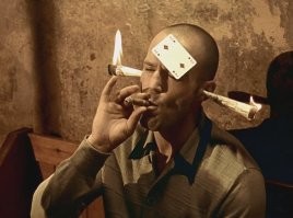 Тачки, осень, два лося