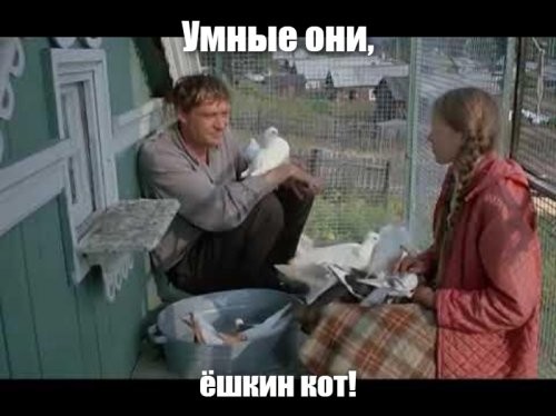 На следующий день , после того , как накормили голодную птичку
