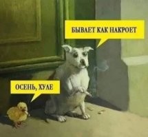 В поисках мужа