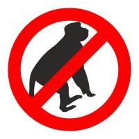 Опять бородатые обезьяны.....