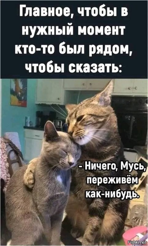 Солянка от 04.09.2024