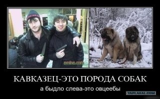 В Анапе группа кавказцев избила туристов