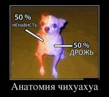 Не ищите здесь смысл. Здесь в основном маразм