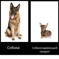 Не ищите здесь смысл. Здесь в основном маразм