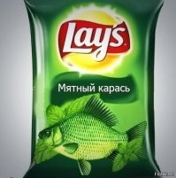 Колоритные фото, на которых особенная логика