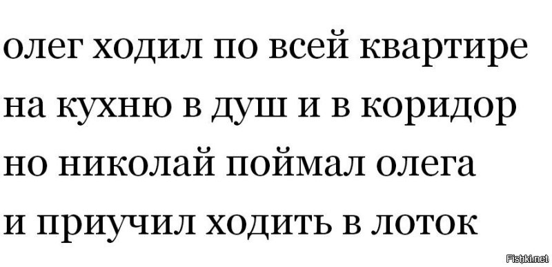 20 юмористических объяснений "Слов дня"