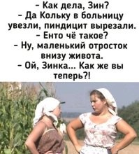 Укус скорпиона разрушил сексуальную жизнь постояльца роскошного отеля