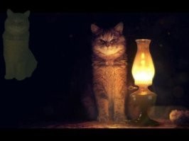 Надпись правильная, картинка неправильная
