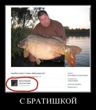 Прожила в озере 20 лет: найдена самая большая в мире золотая рыбка весом более 30 кг