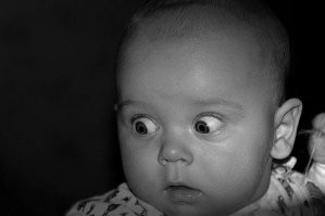 "Королева мусора": бизнесвумен судят за тонны незаконно сброшенных отходов