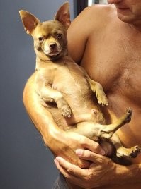 Коты! Вы там особо-то не возбухайте!