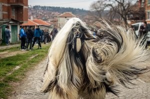 Болгарский кукер.