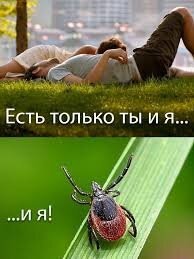 Субботний улыбатор