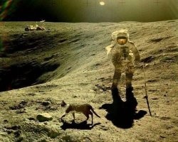 Космический корабль Boening Starliner успешно добрался до Земли без экипажа