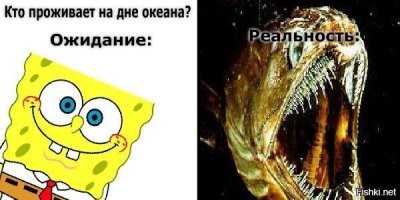 Кто прячется в песке на пляже