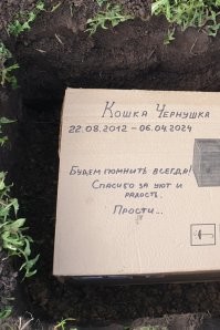 В апреле похоронил свою Чернушку, пишу со слезами на глазах... 
Берегите своих пушистиков!