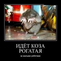 Обыкновенный пищевой краситель сделал мышей прозрачными