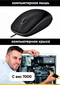 Услуги крысы: