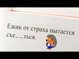 В Германии ёжик полчаса издевался над сотрудником аэродрома и пилотами