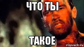 Аниматор, который не даст заскучать