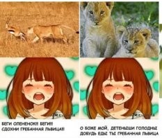 Семейная пара спасла оленя, на которого напала анаконда