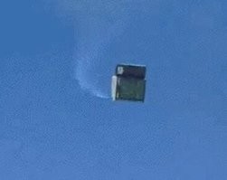 Золотой дождь?