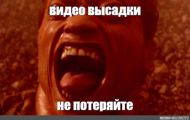 Илон Маск анонсировал полёт космического корабля на Марс через два года