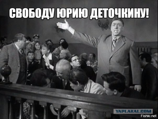 Слон, впервые за 41 год гуляющий без цепей, покорил сердца пользователей Интернета