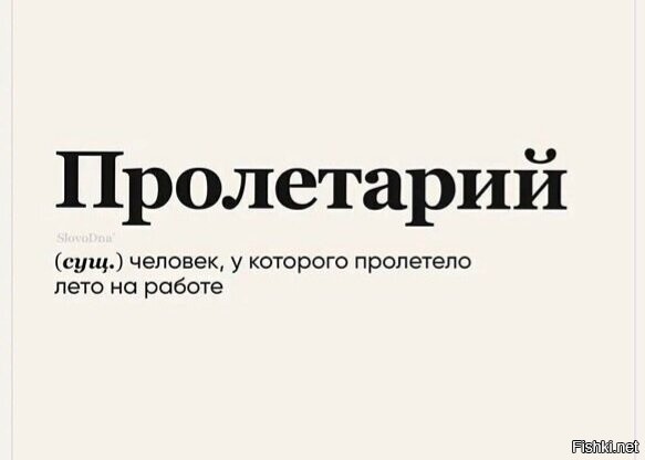 Солянка от 09.09.2024