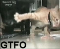 У меня это видео с озвучкой было. ))