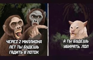 16  вывесок и надписей, которые просто невозможно прочитать