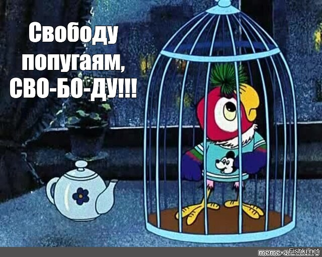 Слон, впервые за 41 год гуляющий без цепей, покорил сердца пользователей Интернета