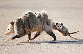 Демотиваторы-приколы: «Верить нельзя ничему…»