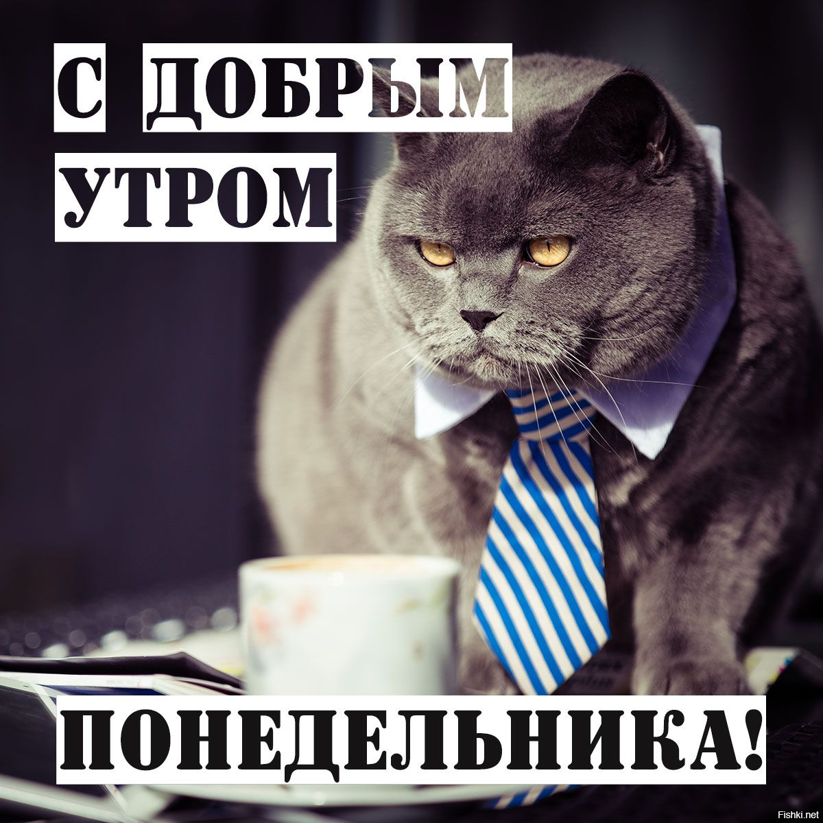 Добровое )
Удачной недели