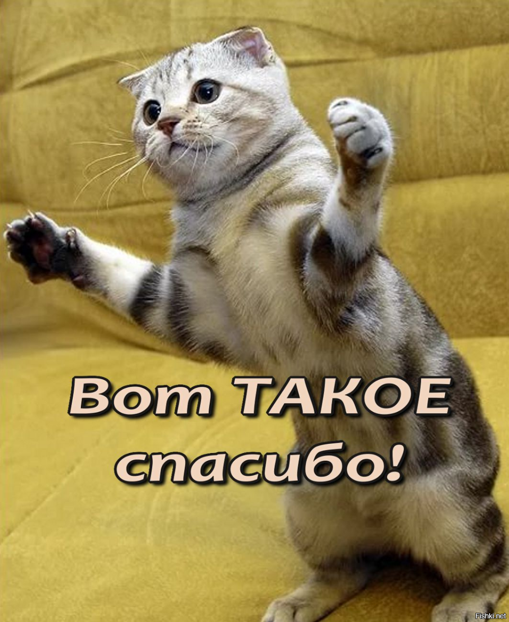 Доброе утро