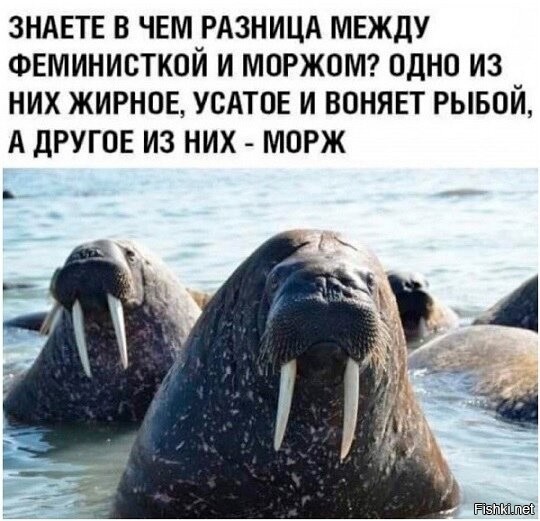 Про феминитивы, авторок и идиоток⁠⁠